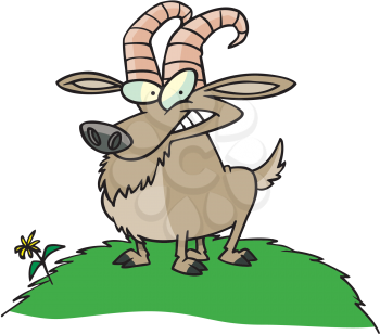 Royalty Free Clipart Image of a Goat