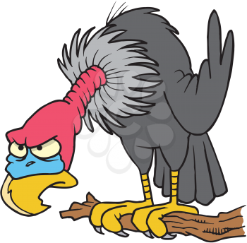Royalty Free Clipart Image of a Buzzard