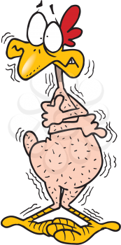 Royalty Free Clipart Image of a Shivering Plucked Chicken