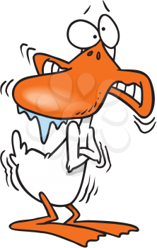 Royalty Free Clipart Image of a Cold Duck