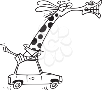 Royalty Free Clipart Image of a Giraffe in a Car