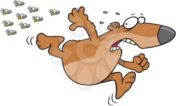 Royalty Free Clipart Image of a Bear Running From Bees