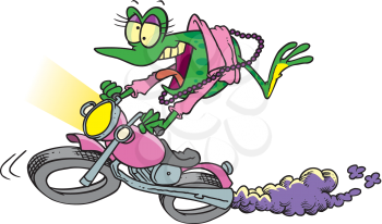 Royalty Free Clipart Image of a Frog Biker