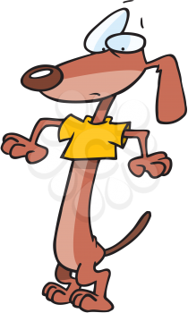 Royalty Free Clipart Image of a Wiener Dog Wearing a Small Shirt