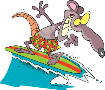 Royalty Free Clipart Image of a Surfing Rat