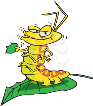 Royalty Free Clipart Image of a Caterpillar on a Leaf