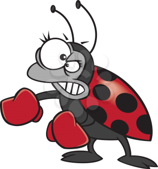 Royalty Free Clipart Image of a Fighting Ladybug