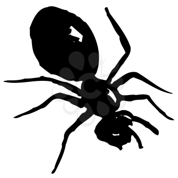 Royalty Free Clipart Image of an Ant