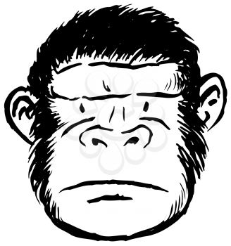 Royalty Free Clipart Image of an Ape Head