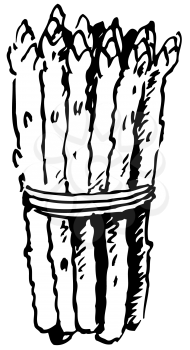 Royalty Free Clipart Image of Asparagus