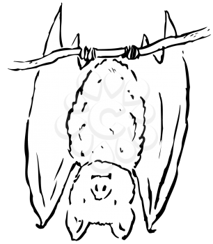 Royalty Free Clipart Image of a Bat Hanging on a Branch