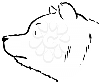 Royalty Free Clipart Image of a Bear's Head From the Side