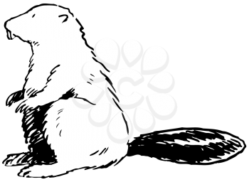 Royalty Free Clipart Image of a Beaver