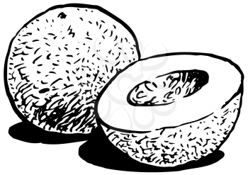 Royalty Free Clipart of a Sliced Cantaloupe