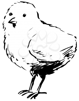 Royalty Free Clipart Image of a Baby Chick