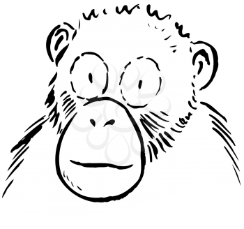 Royalty Free Clipart Image of a Wide-Eyed Chimp