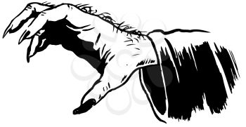 Royalty Free Clipart Image of a Claw Hand