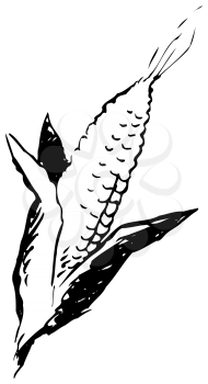 Royalty Free Clipart Image of an Ear of Corn