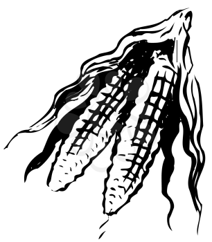 Royalty Free Clipart Image of Ears of Corn