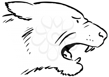 Royalty Free Clipart Image of a Snarling Cougar