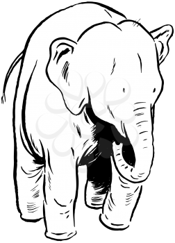 Royalty Free Clipart Image of an Elephant Walking