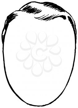 Royalty Free Clipart Image of a Man's Blank Face