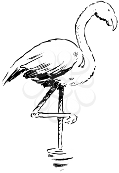 Royalty Free Clipart Image of a Flamingo