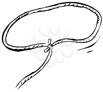 Royalty Free Clipart Image of a Lasso
