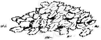Royalty Free Clipart Image of a Pile of Leaves