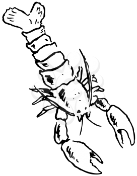 Royalty Free Clipart Image of a Lobster