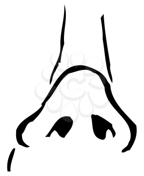Royalty Free Clipart Image of an Upturned Nose