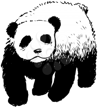 Royalty Free Clipart Image of a Panda