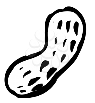 Royalty Free Clipart Image of a Peanut