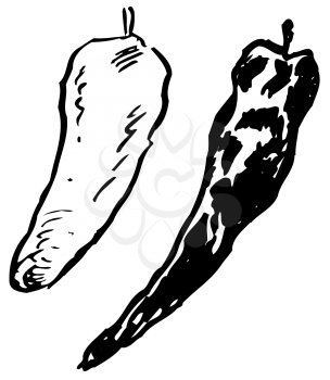 Royalty Free Clipart Image of
Peppers