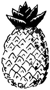 Royalty Free Clipart Image in a Pineapple