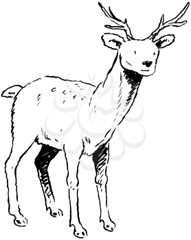 Royalty Free Clipart Image of a Reindeer