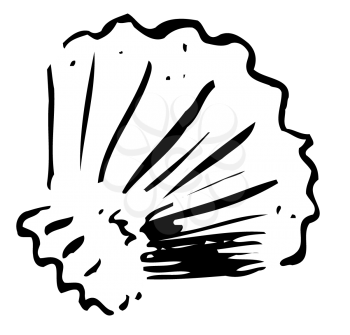 Royalty Free Clipart Image of a Shell