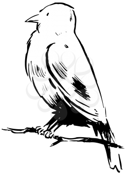 Royalty Free Clipart Image of a Sparrow