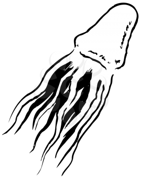 Royalty Free Clipart Image of a Squid