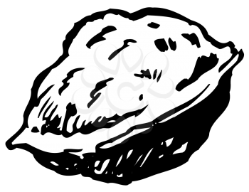 Royalty Free Clipart Image of a Walnut