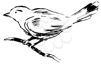 Royalty Free Clipart Image of a Wren
