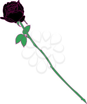 Royalty Free Clipart Image of a Black Rose
