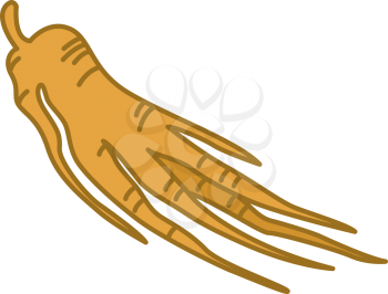 Royalty Free Clipart Image of Ginseng Root