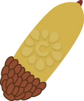 Royalty Free Clipart Image of an Acorn