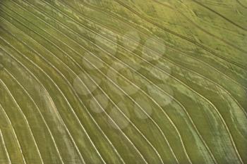 Royalty Free Photo of an Aerial of a Cultivated Agricultural Field