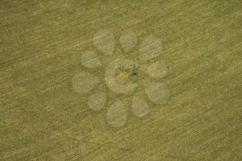 Royalty Free Photo of an Aerial View of Cultivated Crop