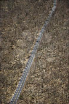 Royalty Free Photo of an Aerial View of a Two Lane Road Through a Barren Rural Forest