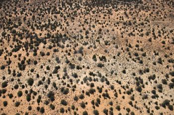 Royalty Free Photo of an Aerial of Growing Shrubs in a Desert Landscape of Utah, USA