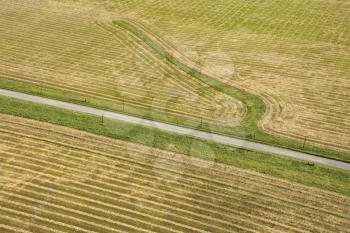Royalty Free Photo of an Aerial of Rows in Agricultural Cropland
