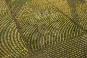 Royalty Free Photo of an Aerial of an Agricultural Cropland
